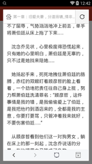 爱游戏app资助意甲